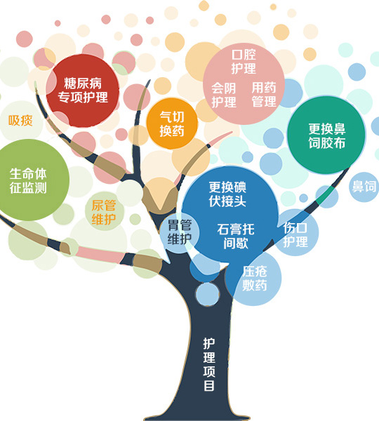 护理项目1.生命体征监测2.用药管理3.口腔护理4.会阴护理5.鼻饲6.更换鼻饲胶布7.吸痰8.气切换药9.尿管维护10.胃管维护11.石膏托间歇2.更换碘伏接头13.压疮敷药14.伤口护理15.糖尿病专项护理